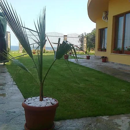 Beach Daire